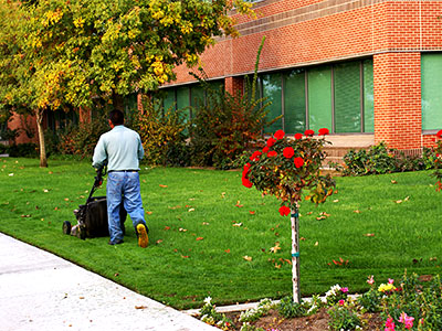 Commercial Grounds Maintenance Damascus, MD